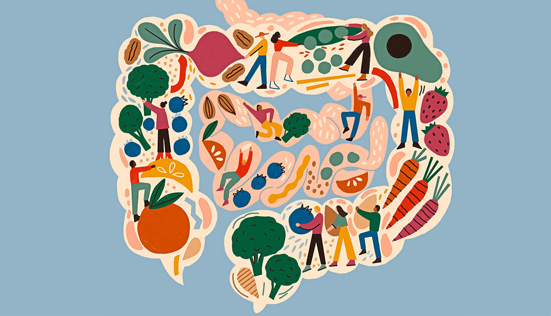 Why Digestive Comfort Becomes More Important with Age