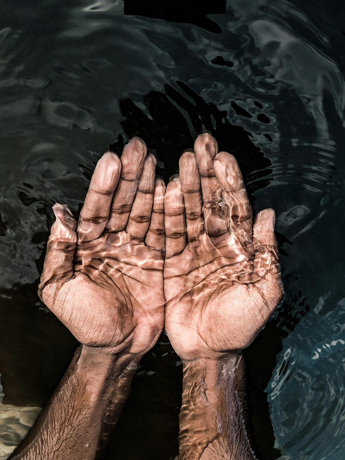 Understanding Detoxification: The Role of Vitamins and Minerals in Cleansing Your Body