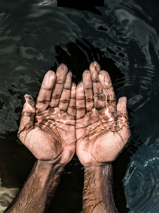 Understanding Detoxification: The Role of Vitamins and Minerals in Cleansing Your Body